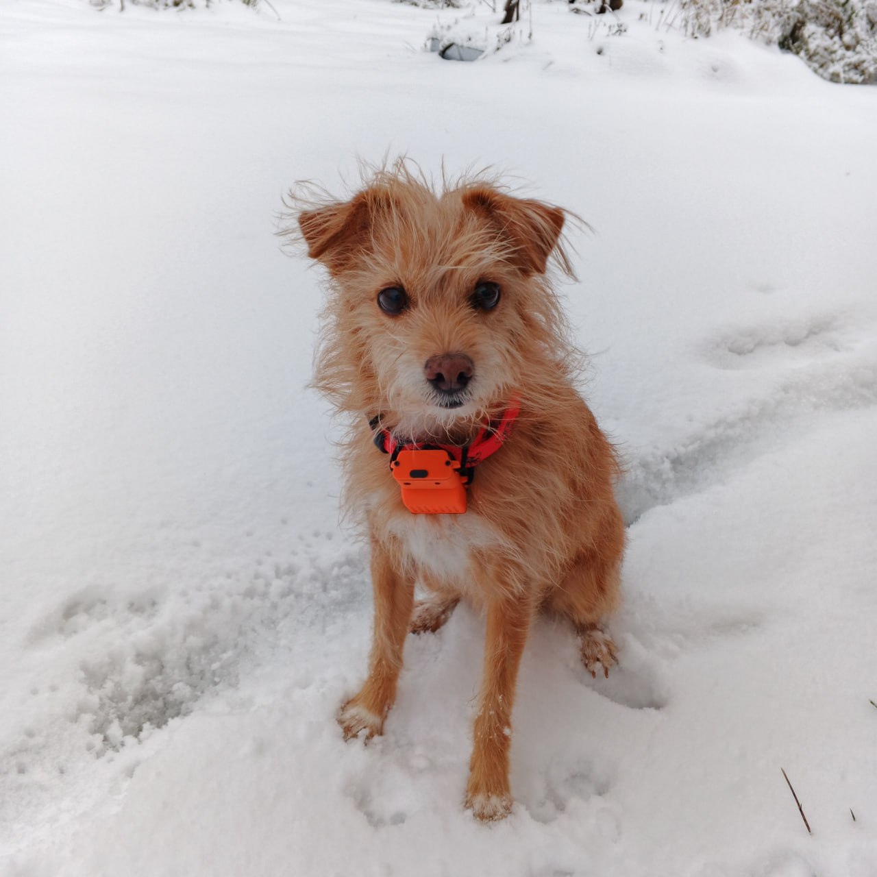 «Узел S Tracker» — испытания на местности